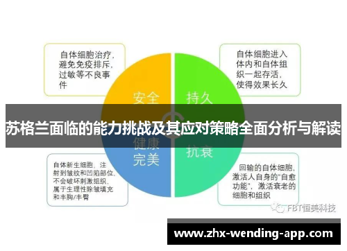 苏格兰面临的能力挑战及其应对策略全面分析与解读