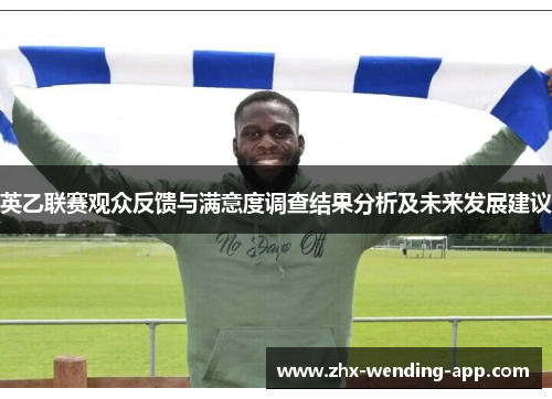 英乙联赛观众反馈与满意度调查结果分析及未来发展建议