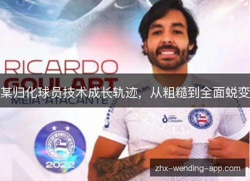 某归化球员技术成长轨迹,从粗糙到全面蜕变 某归化球员技术成长轨迹,从粗糙到全面蜕变