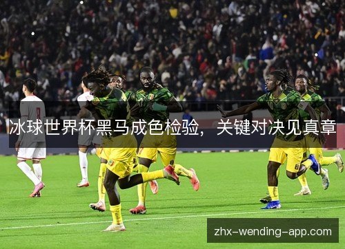 冰球世界杯黑马成色检验,关键对决见真章 冰球世界杯黑马成色检验,关键对决见真章